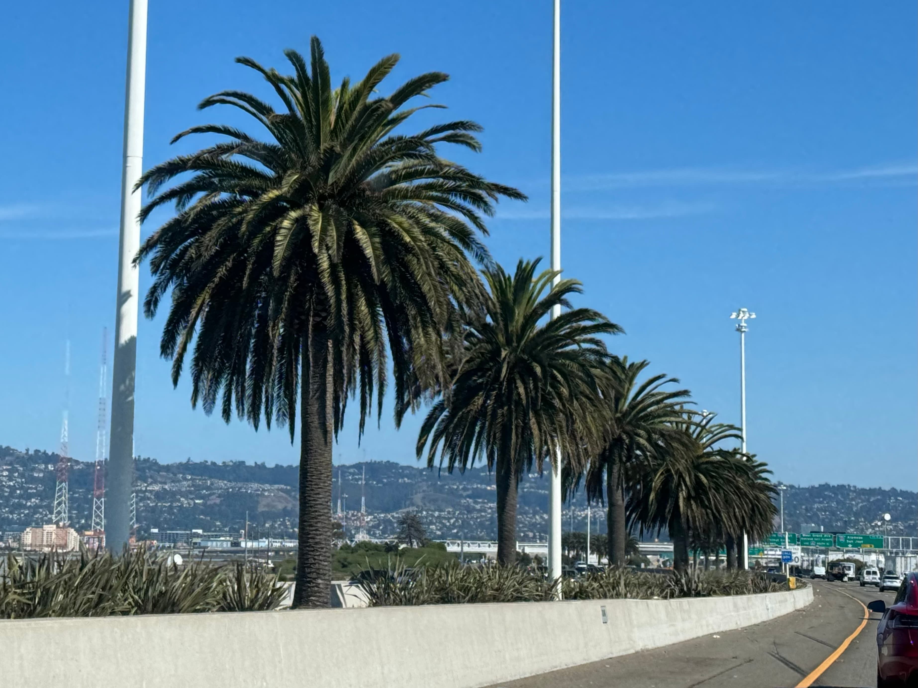 Bay Bridge
