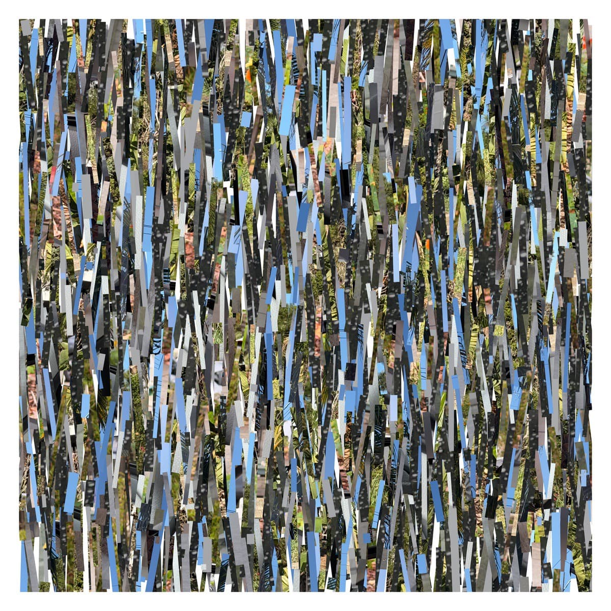 Emergent form — generative art by Benji Friedman