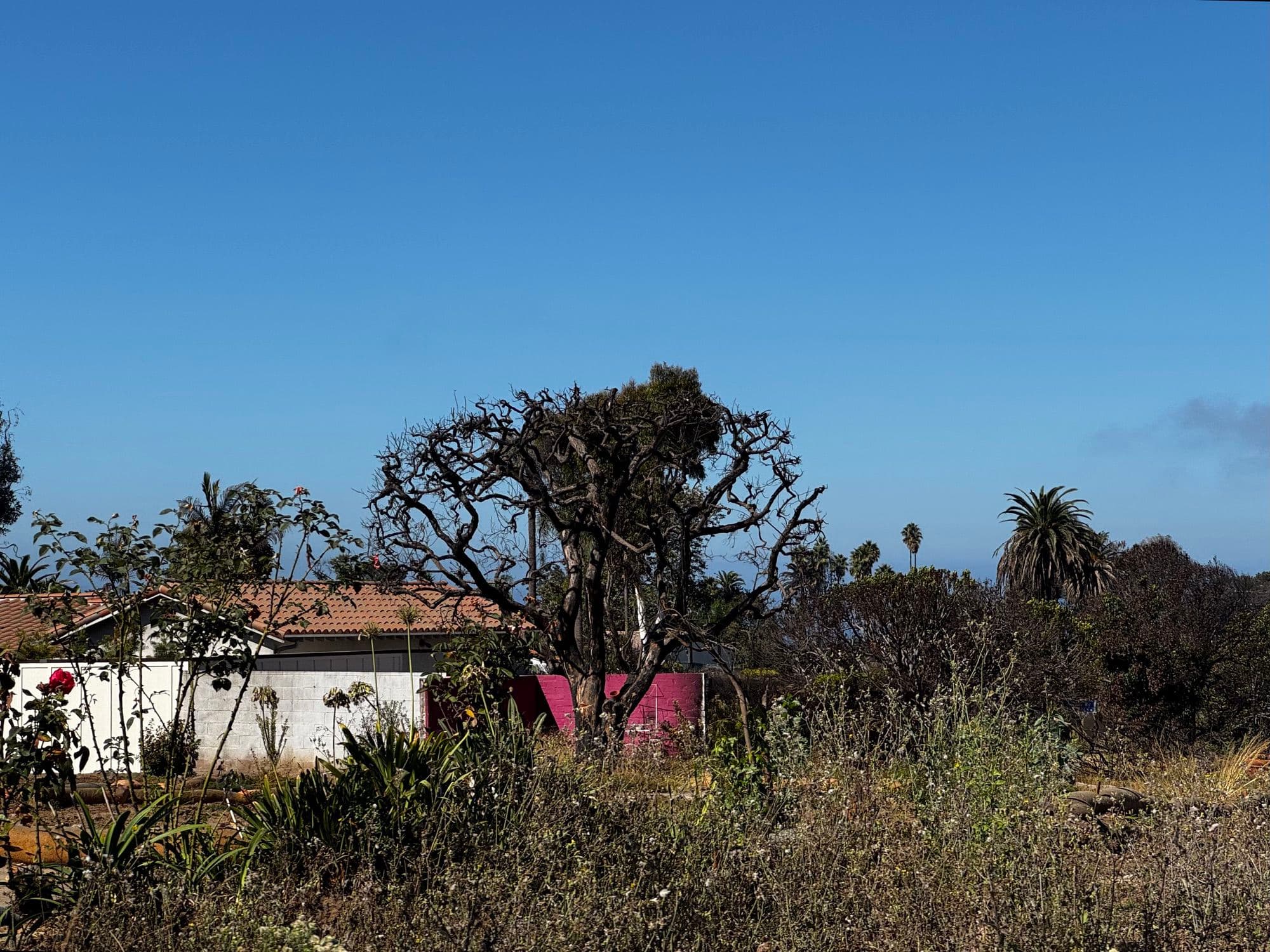Pacific Palisades 10