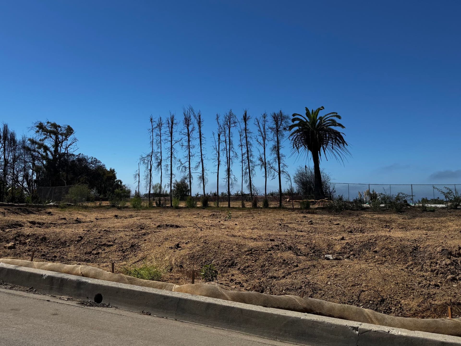 Pacific Palisades 112