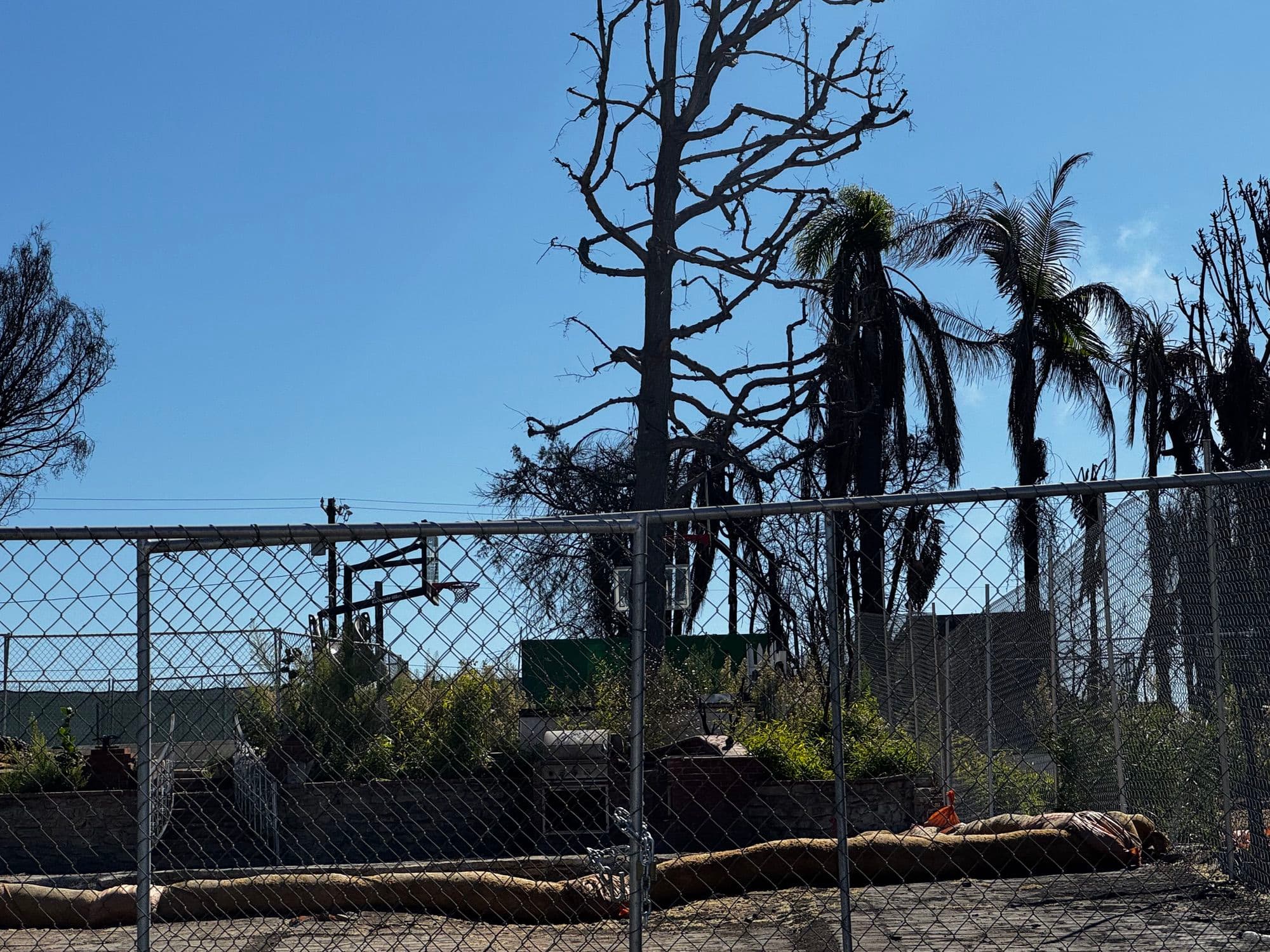 Pacific Palisades 12