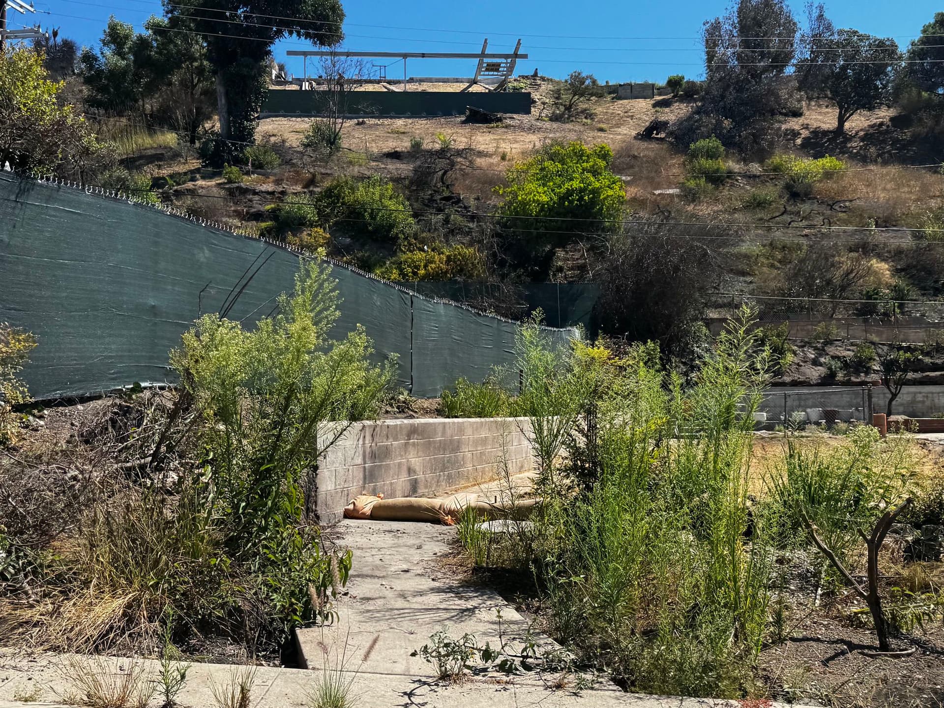 Pacific Palisades 123