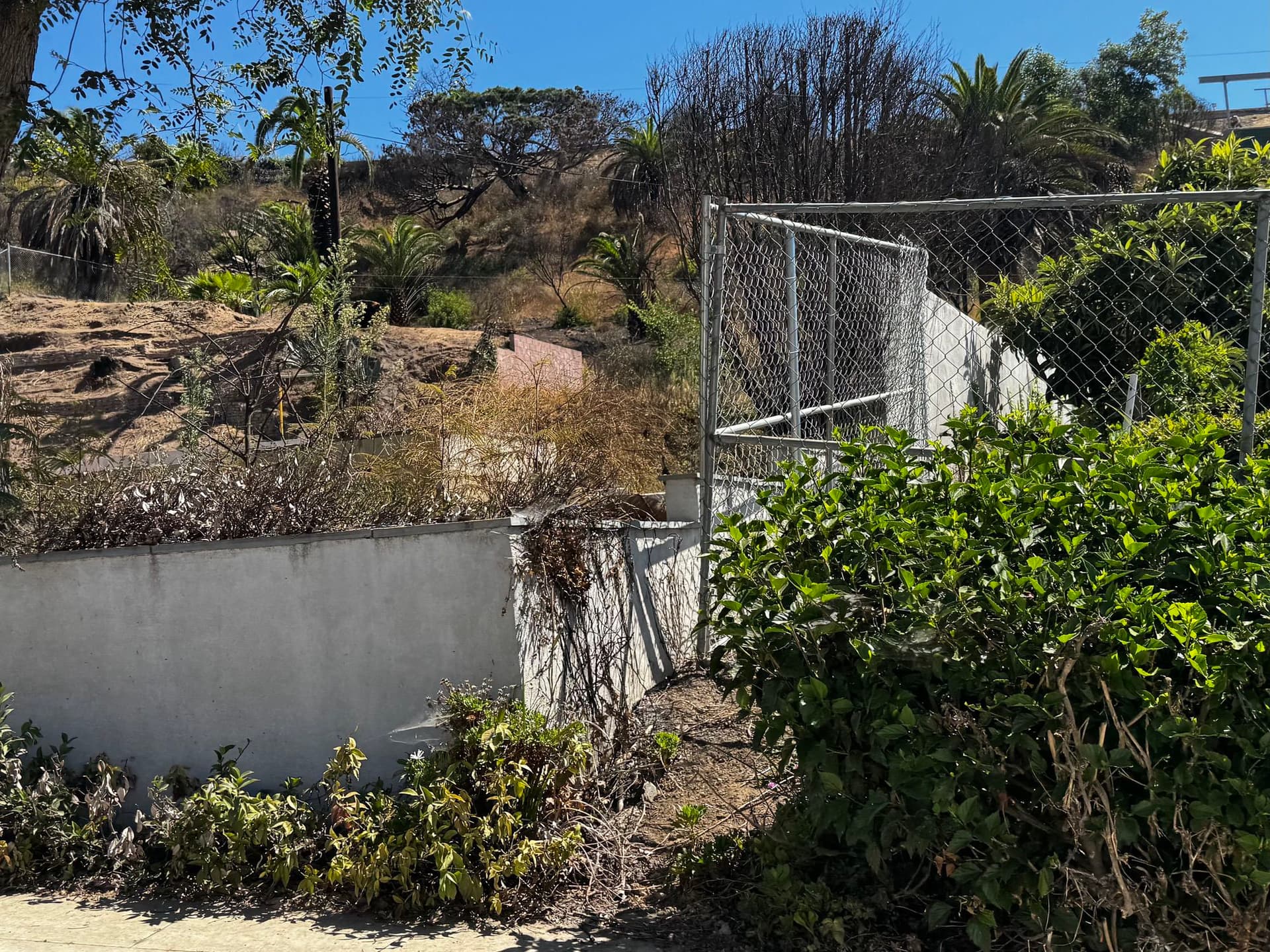 Pacific Palisades 126