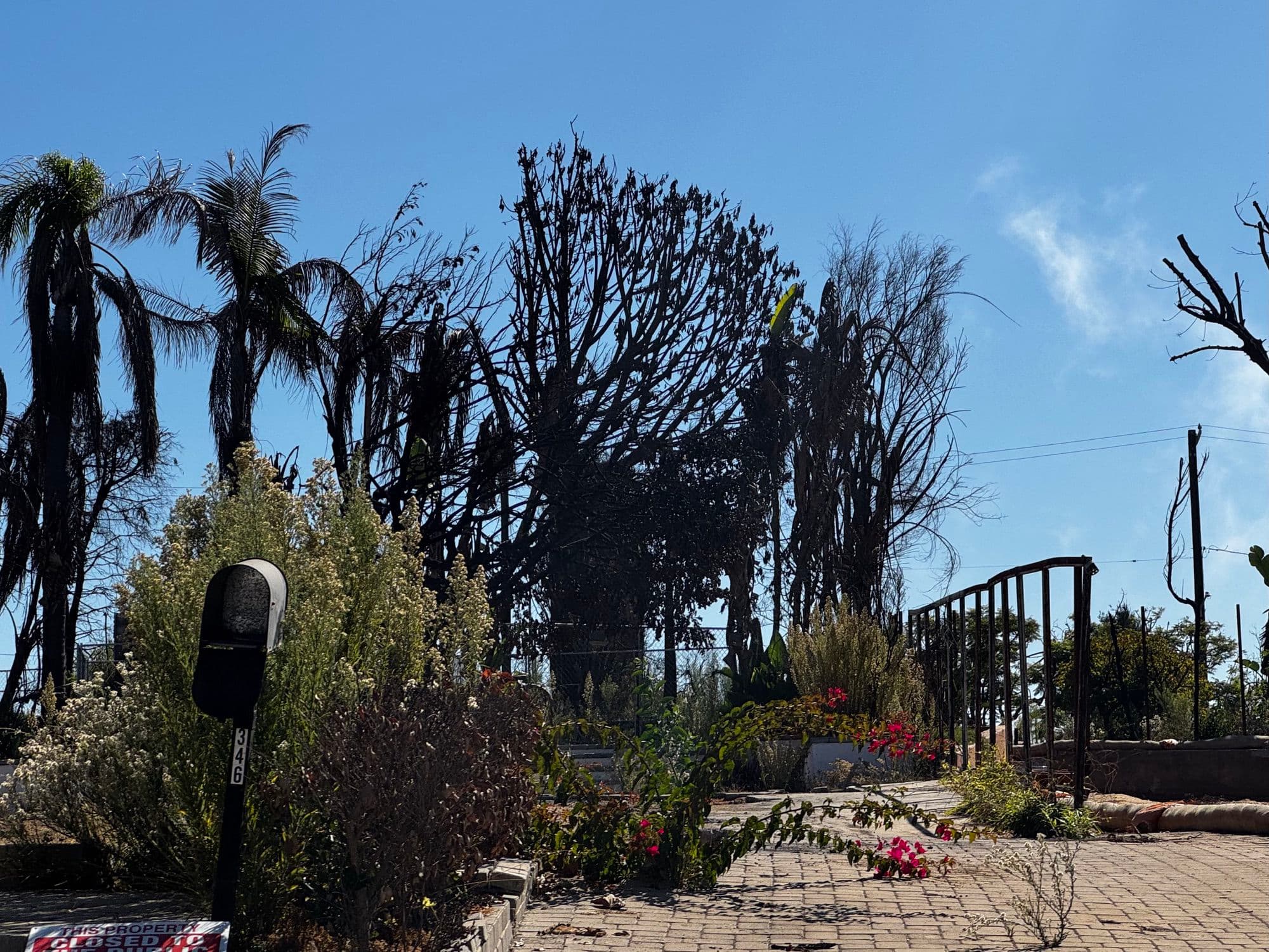 Pacific Palisades 13