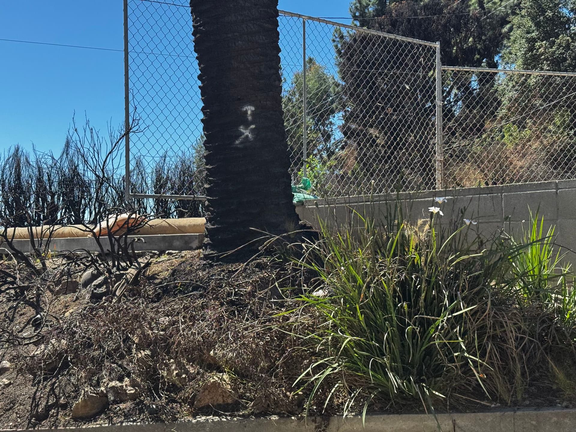 Pacific Palisades 132