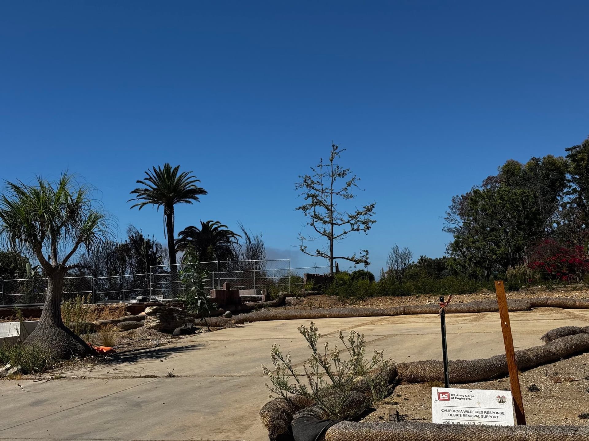 Pacific Palisades 140