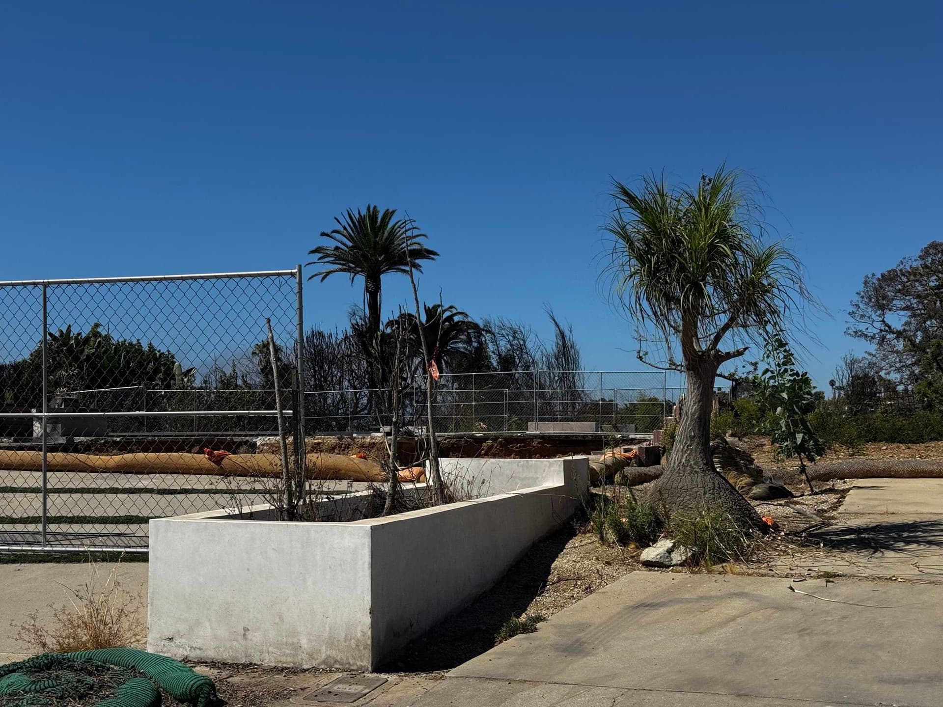 Pacific Palisades 141