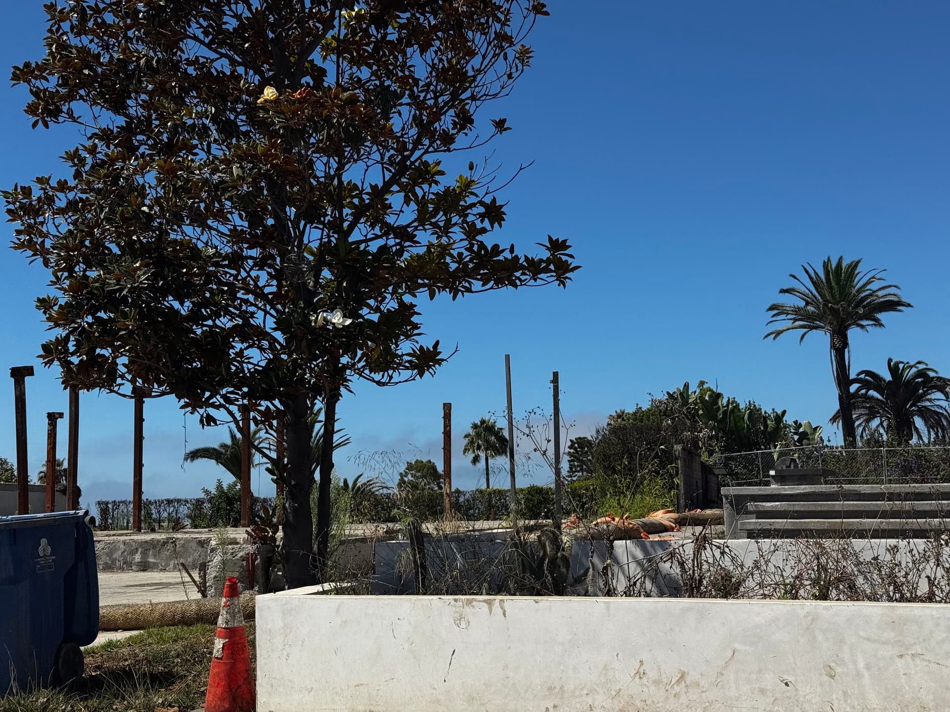 Pacific Palisades 144