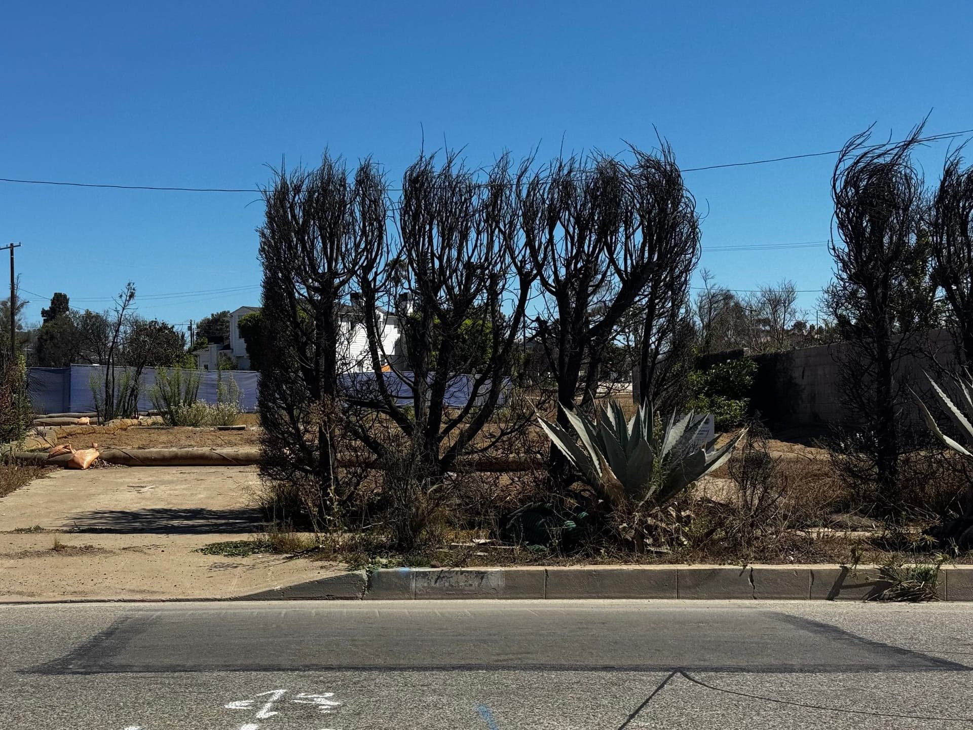 Pacific Palisades 148