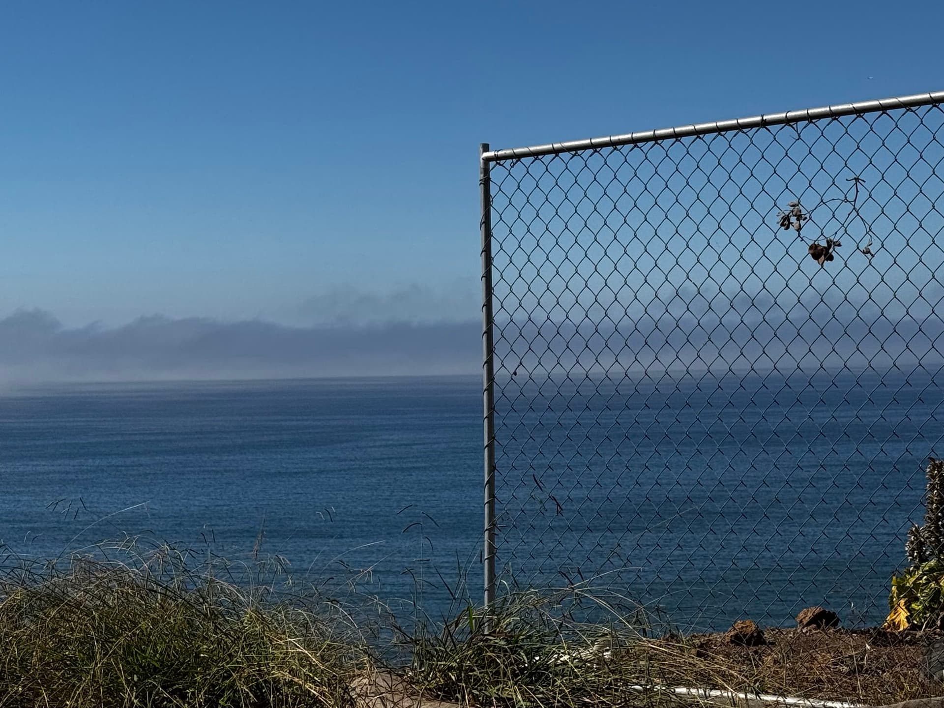 Pacific Palisades 15
