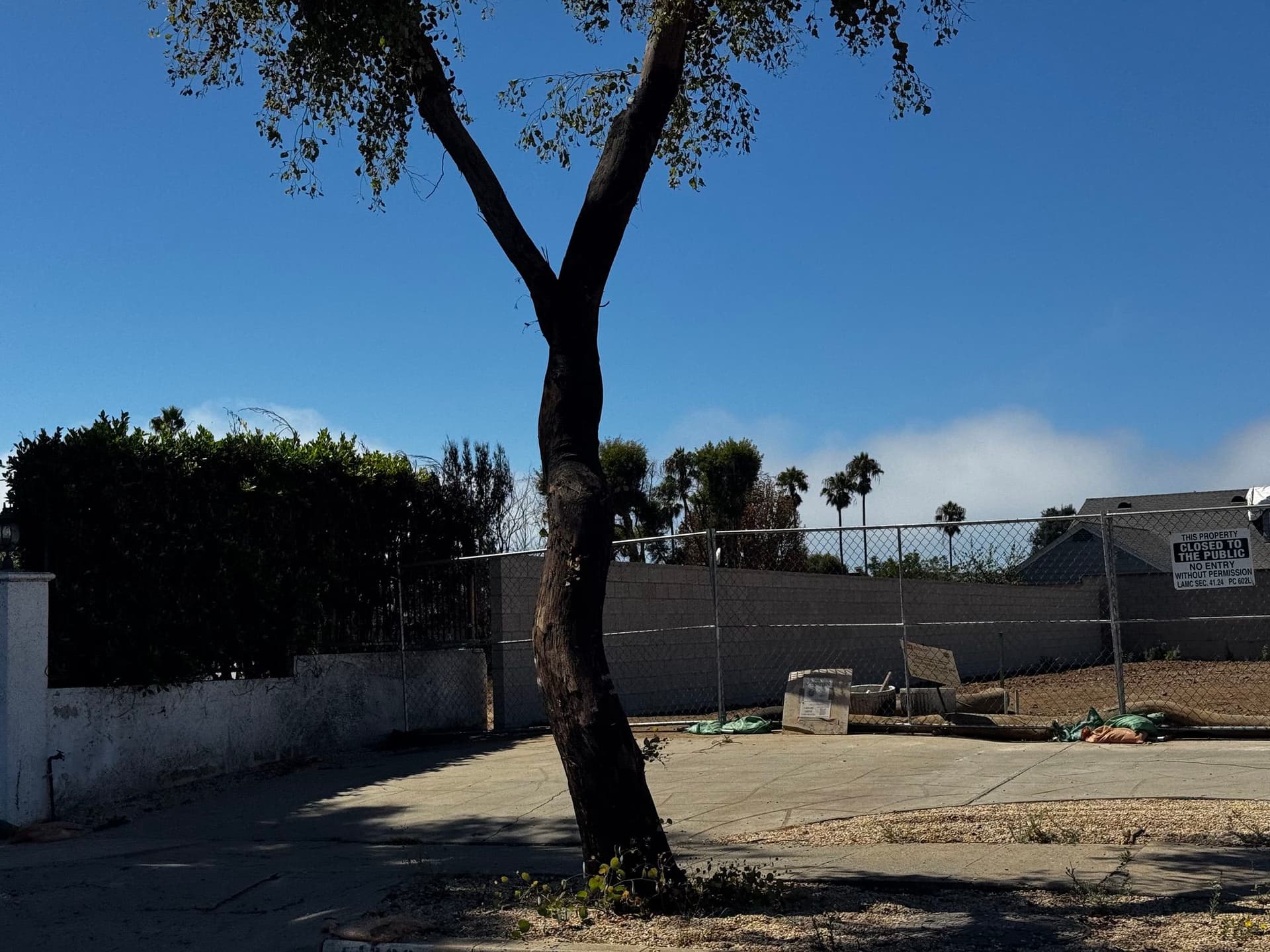 Pacific Palisades 152