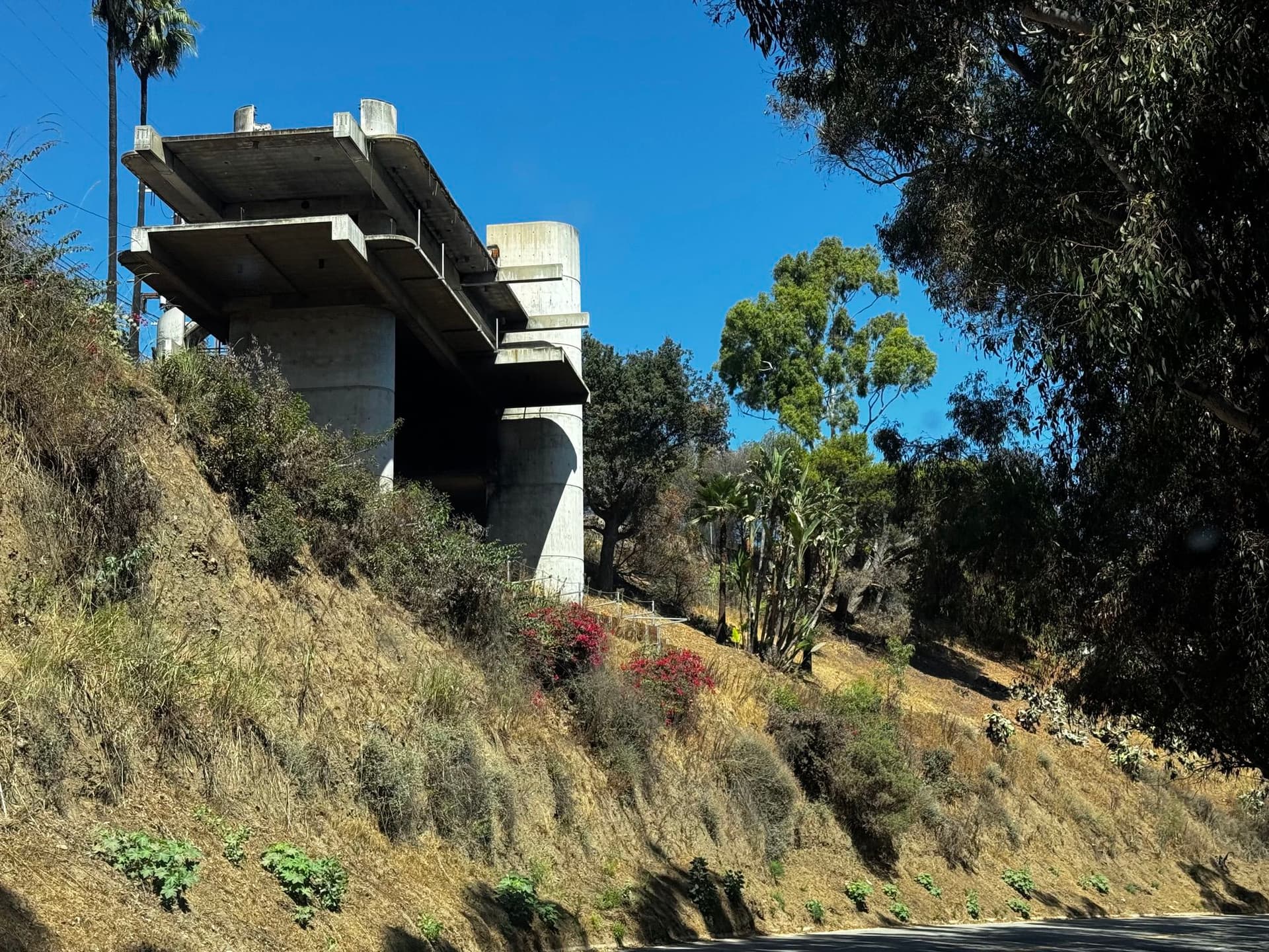 Pacific Palisades 153