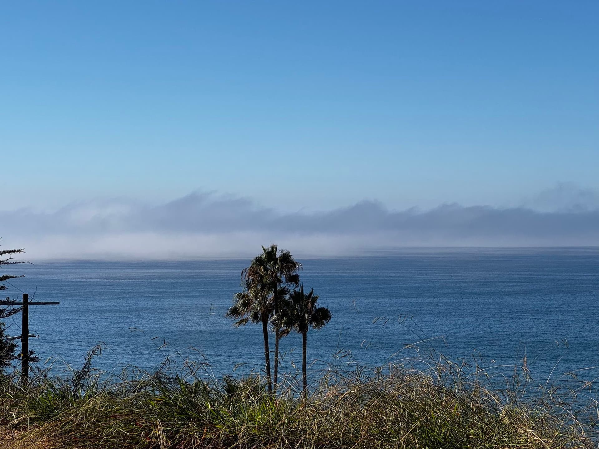Pacific Palisades 17