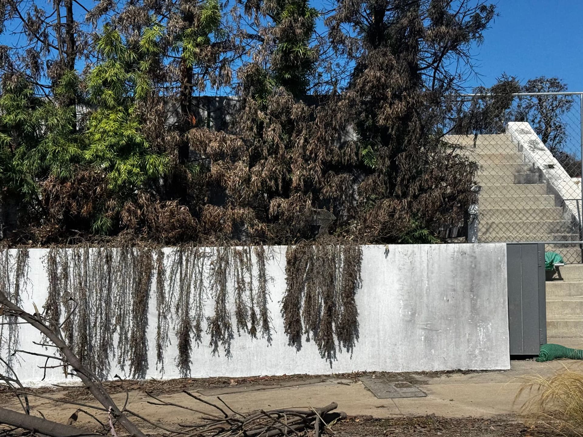 Pacific Palisades 21