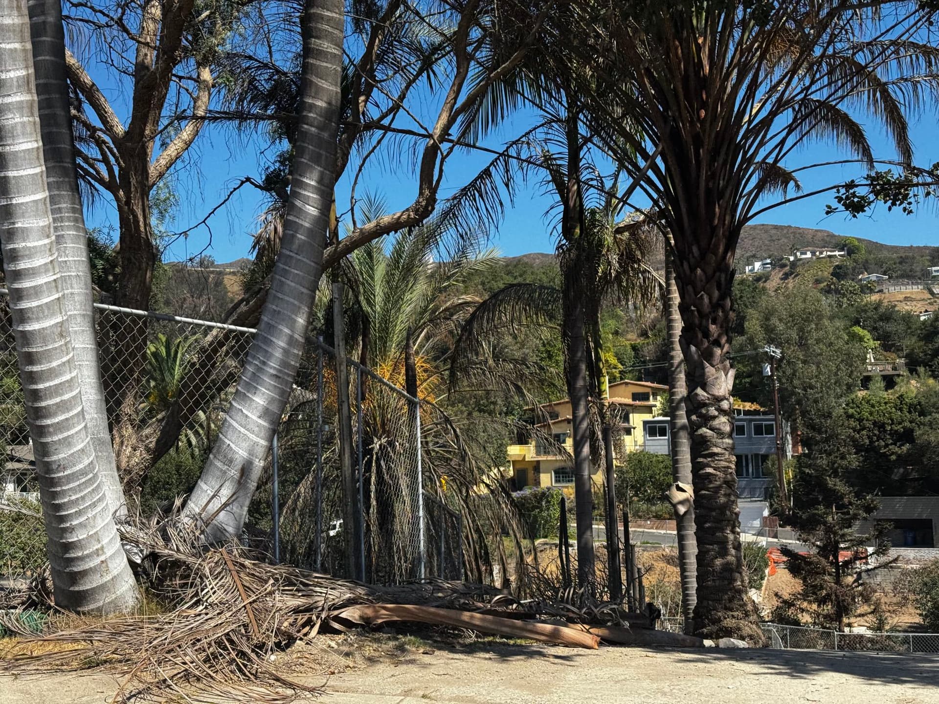 Pacific Palisades 37