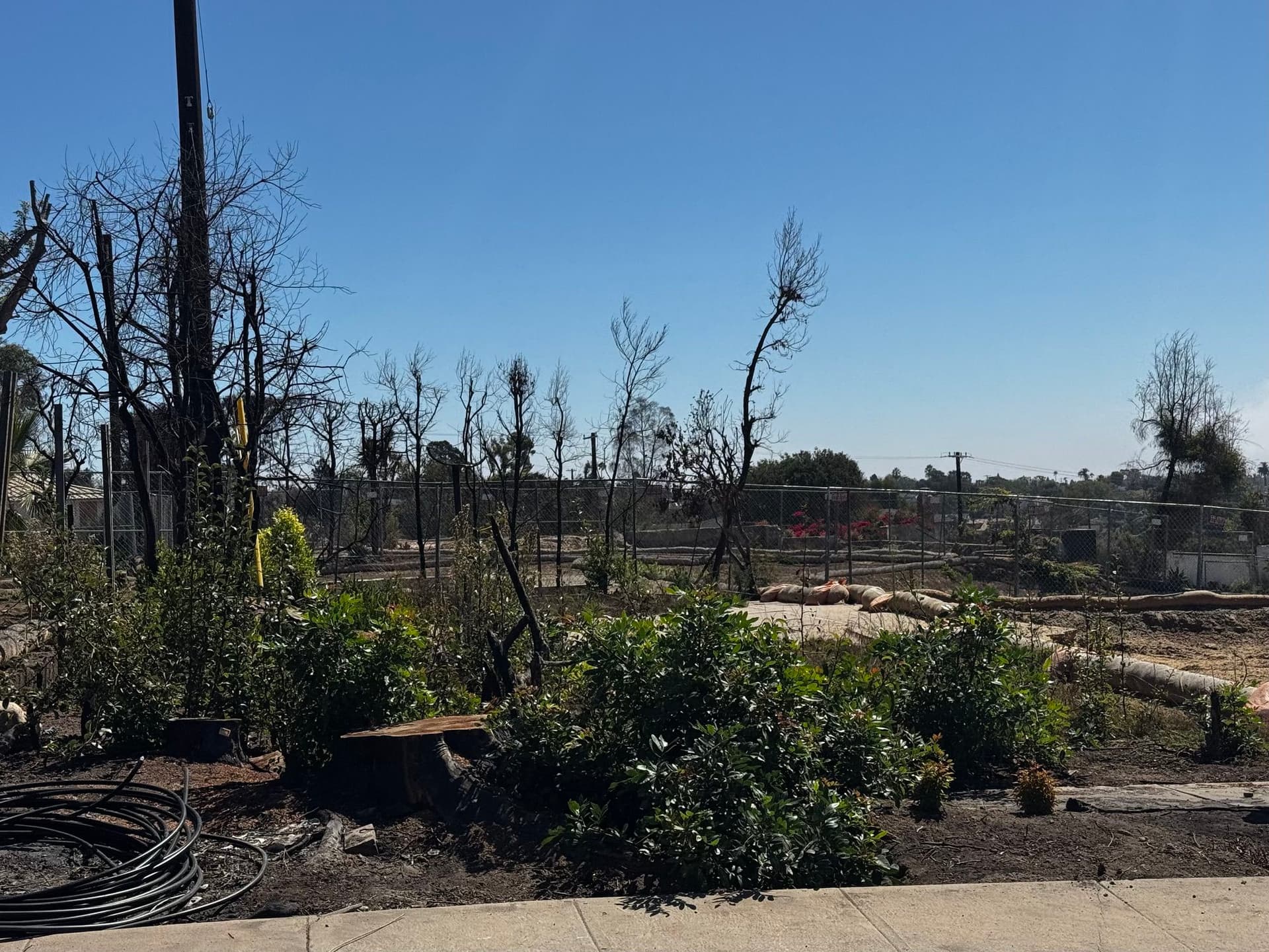 Pacific Palisades 44