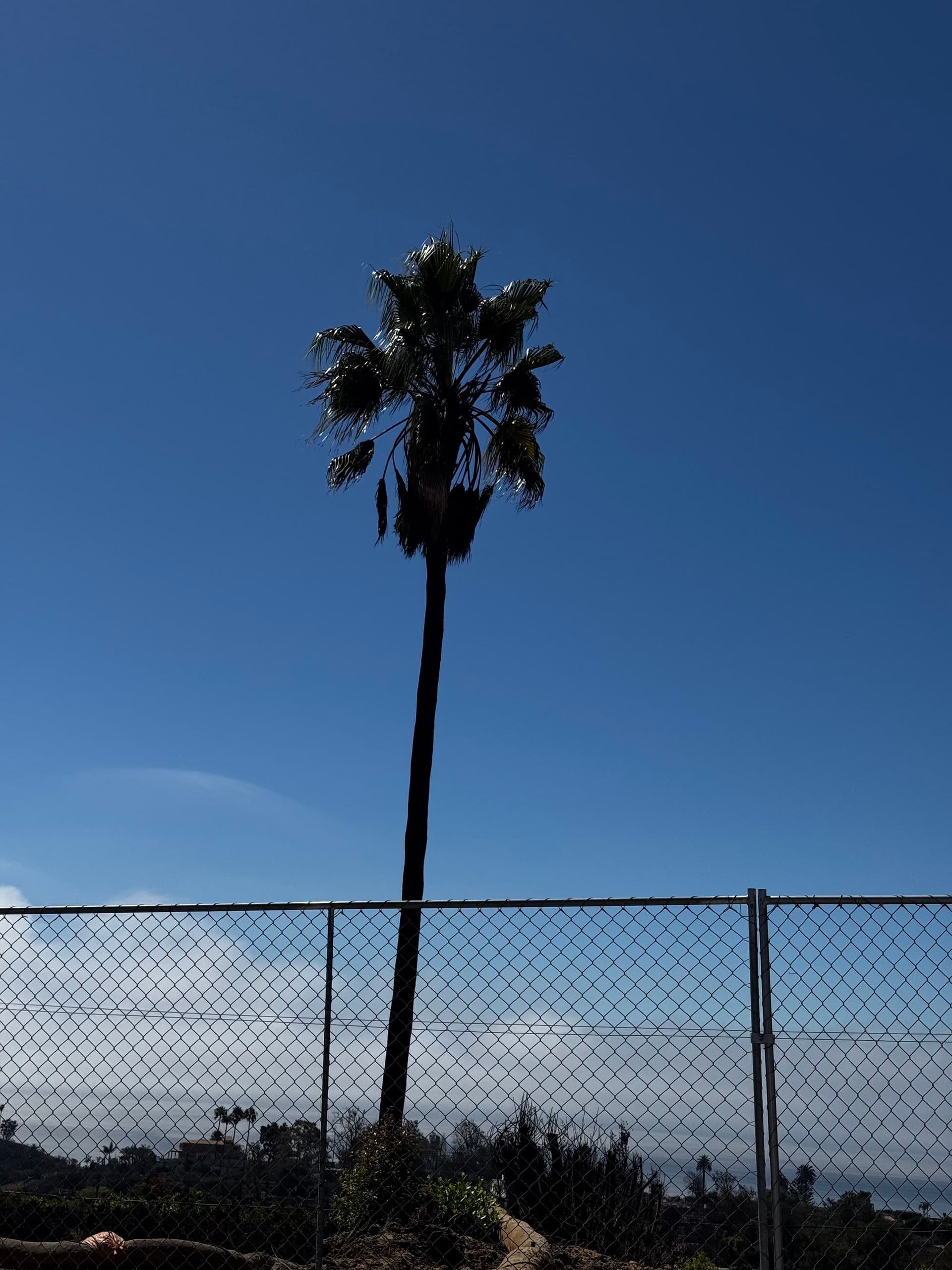 Pacific Palisades 54