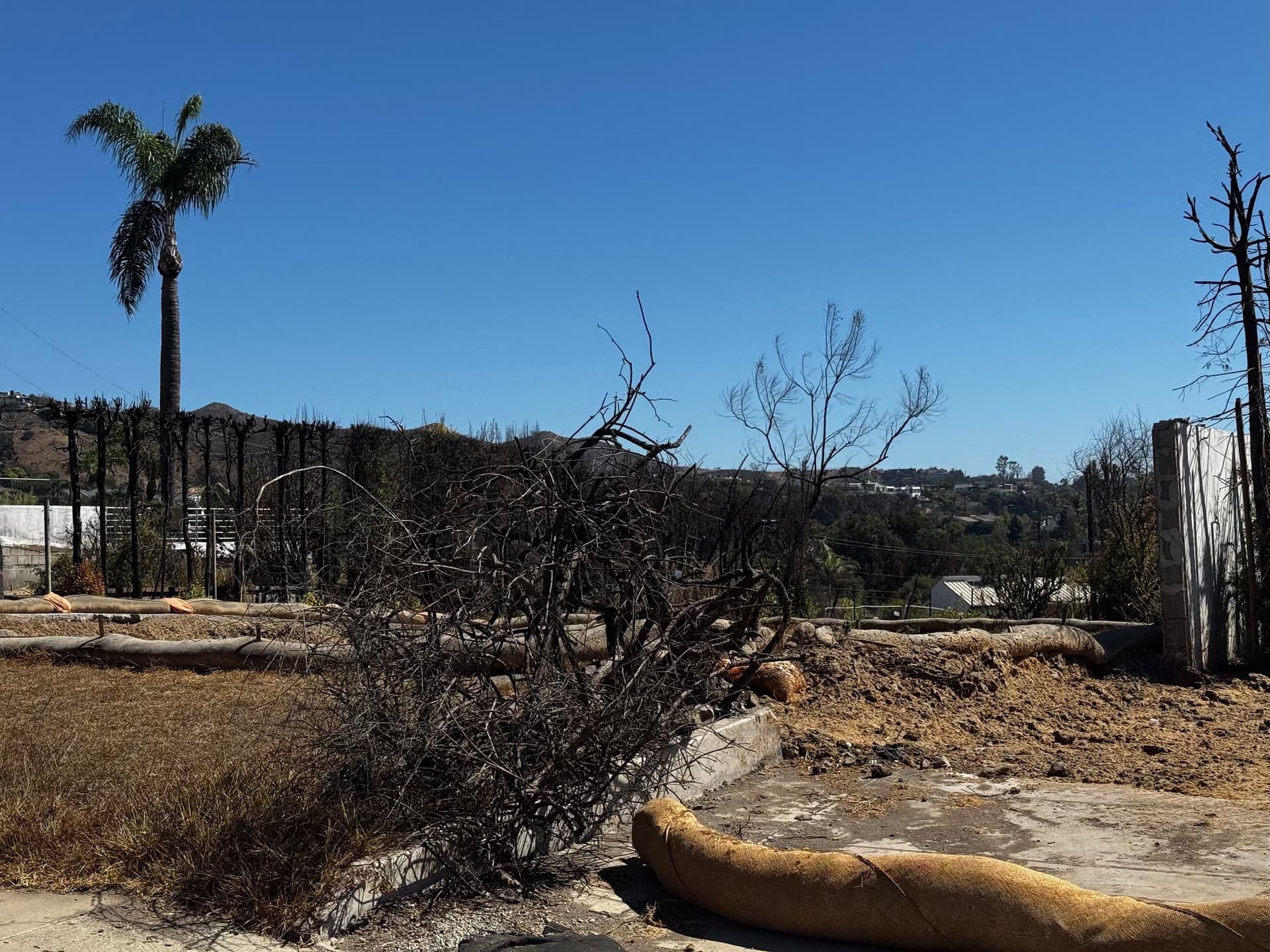 Pacific Palisades 55