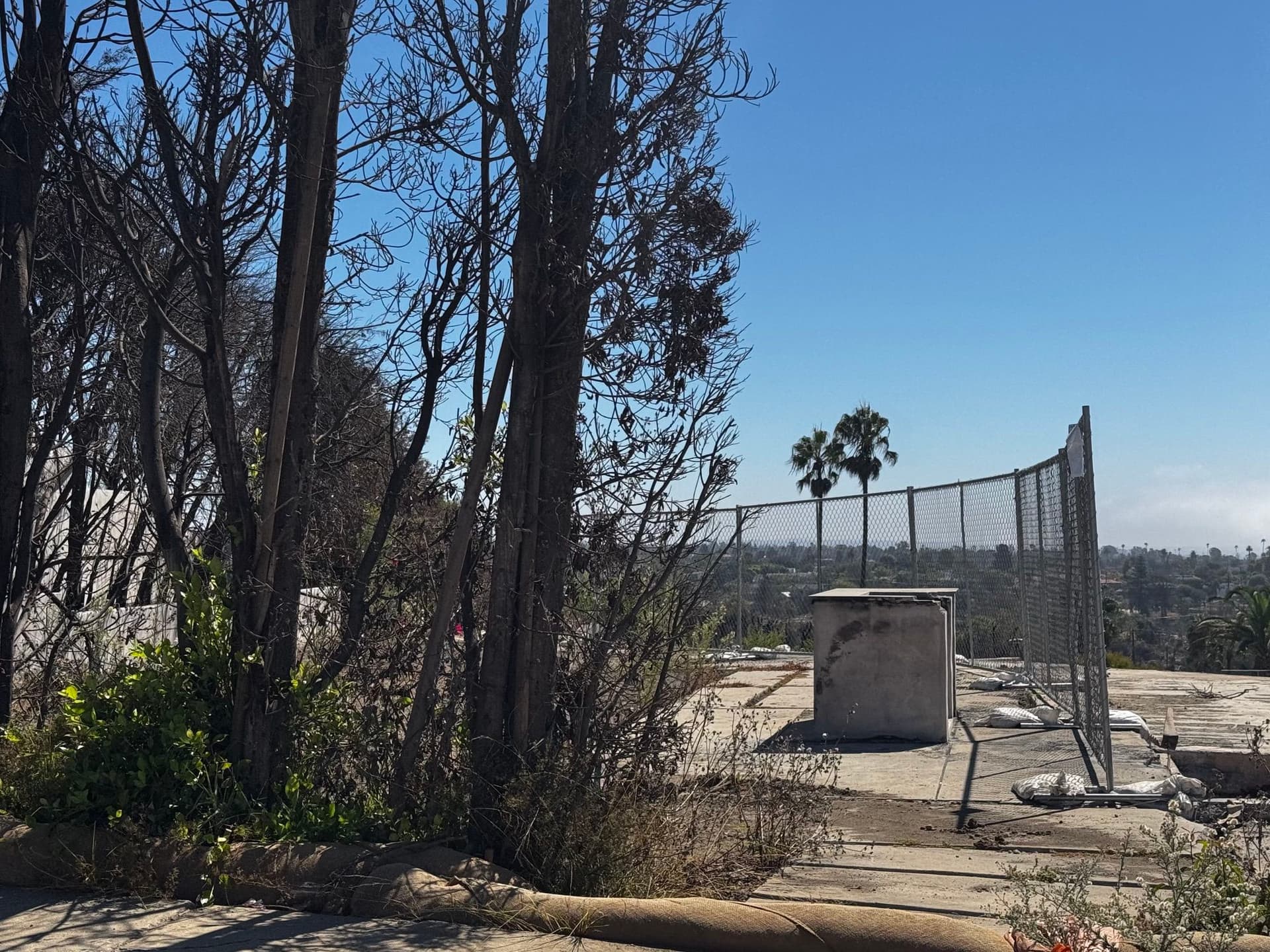 Pacific Palisades 73