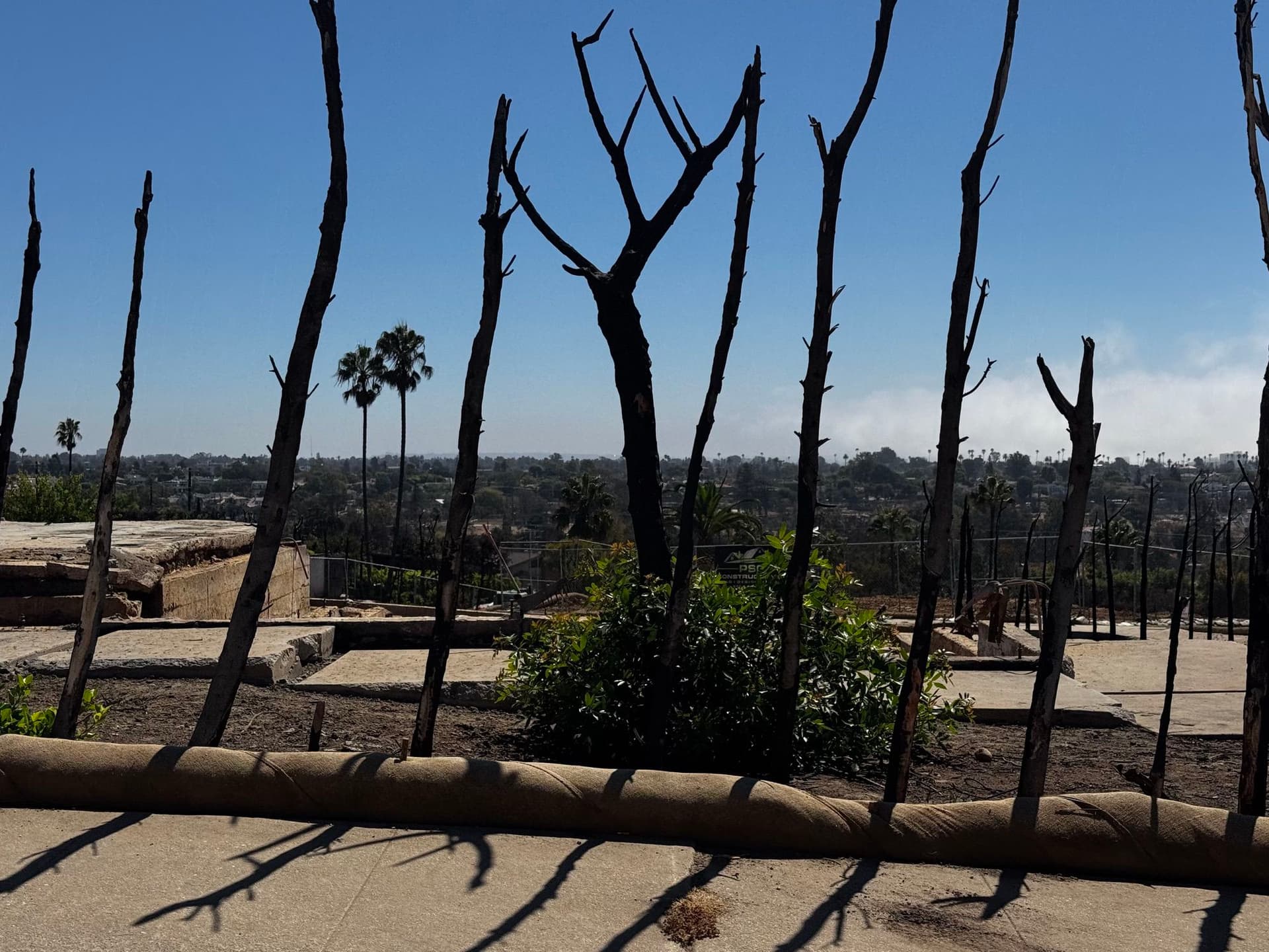 Pacific Palisades 75
