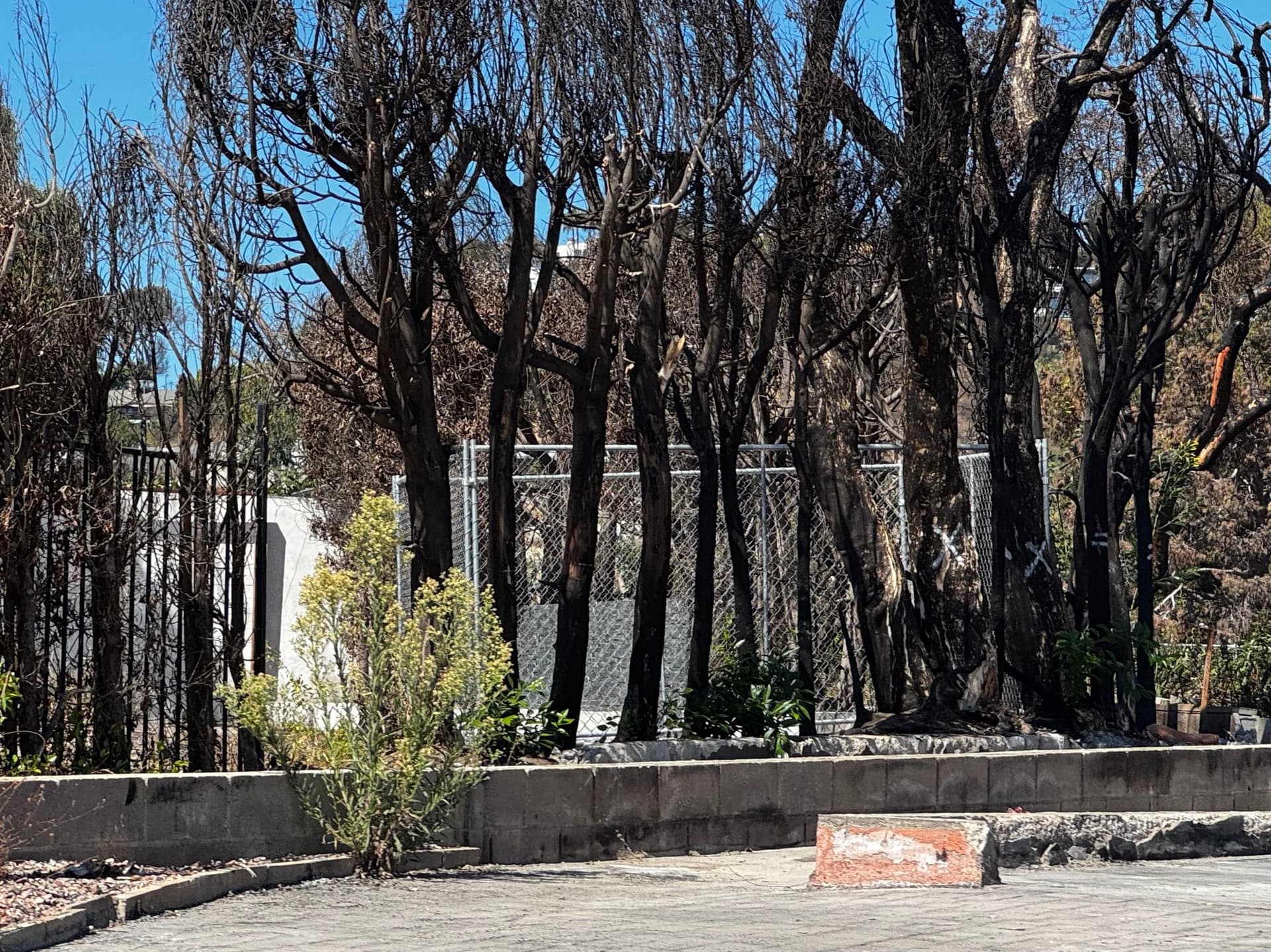Pacific Palisades 92