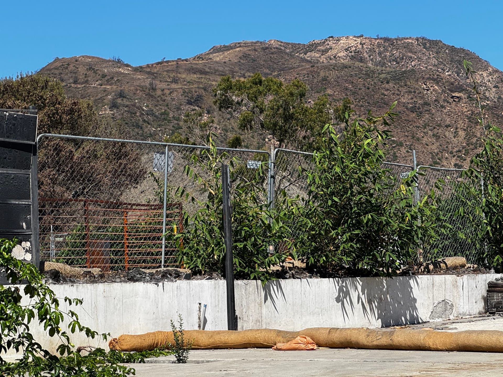 Pacific Palisades 94