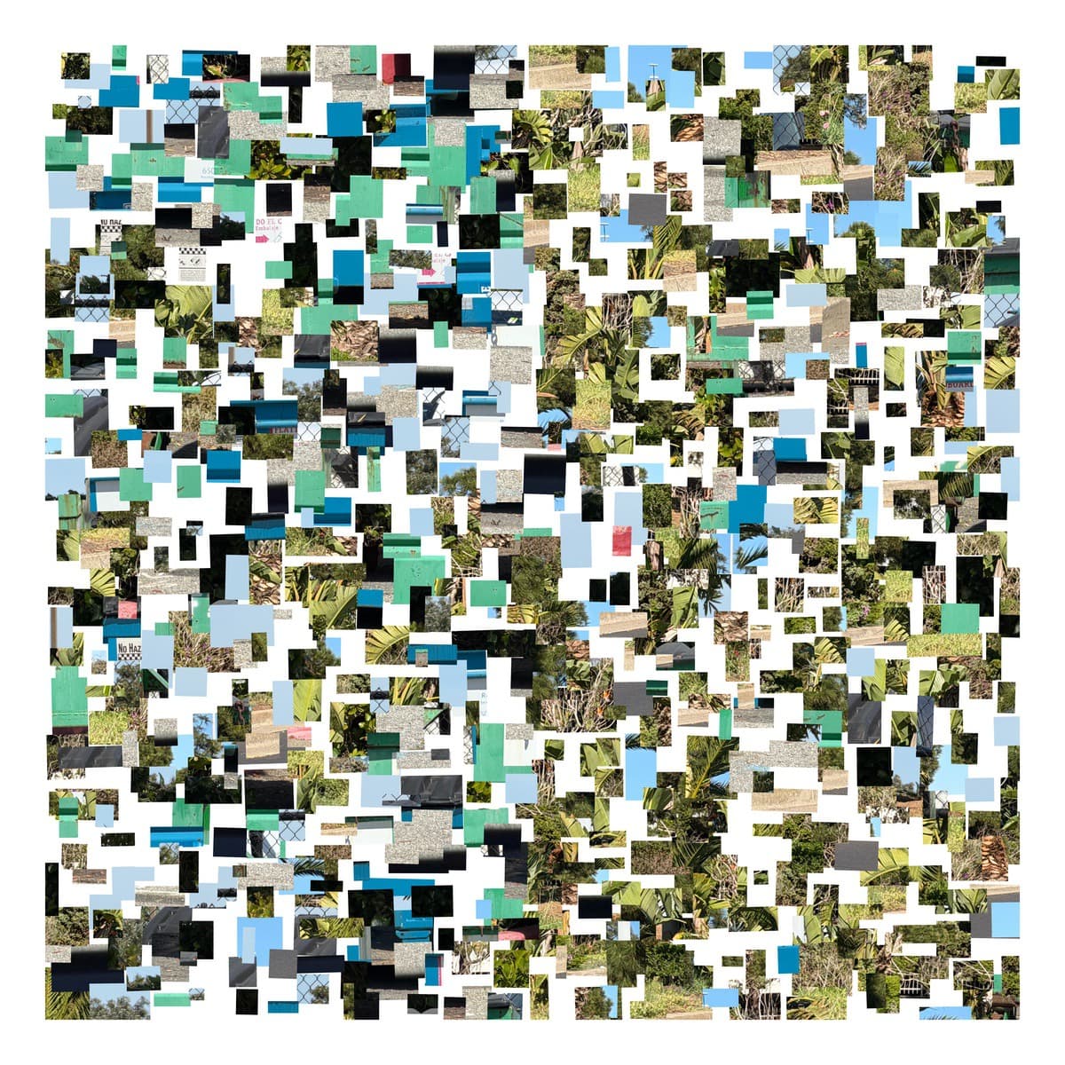 Chance operations in generative art by Benji Friedman