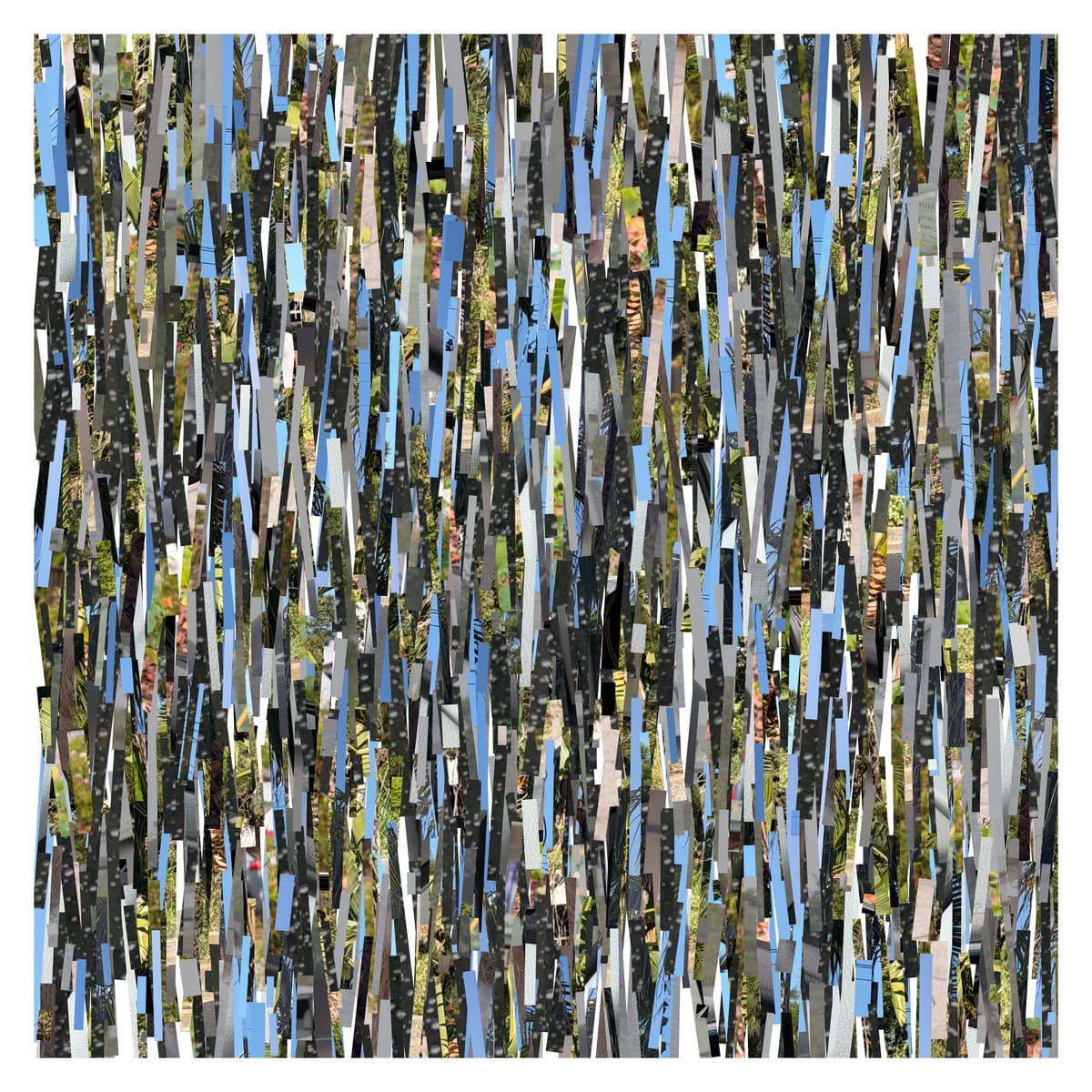 Curated randomness in digital art by Benji Friedman