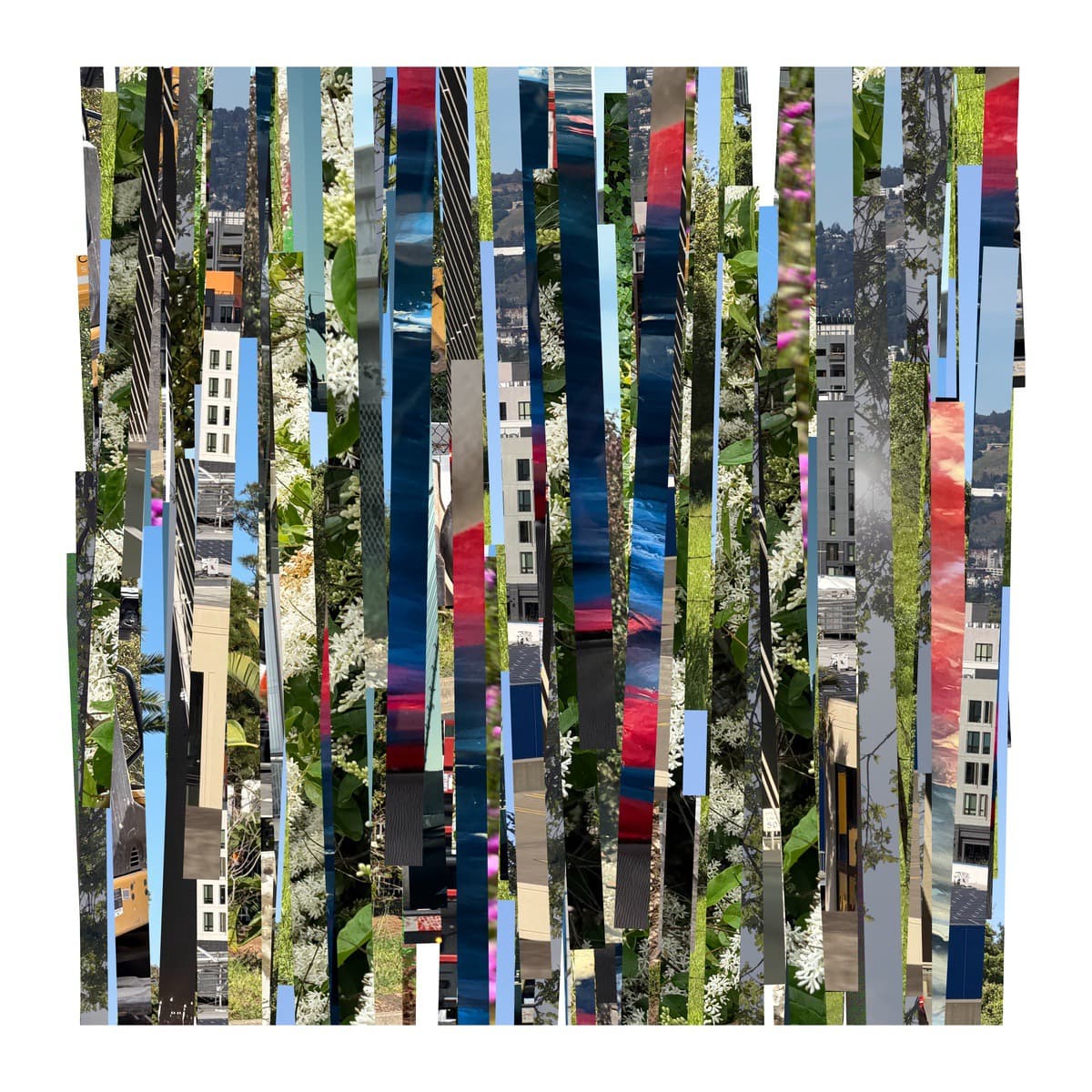 Degrees of randomness in generative art by Benji Friedman